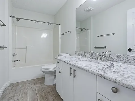 1254 Chaparral Drive The Villages FL 32159