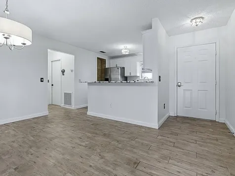 1254 Chaparral Drive The Villages FL 32159
