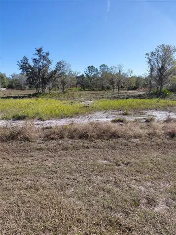 39925 20th Place E Myakka City FL 34251