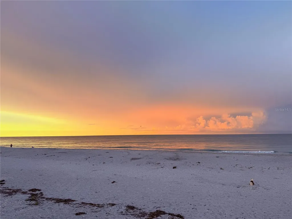 303 Morningside Drive Palm Harbor FL 34683