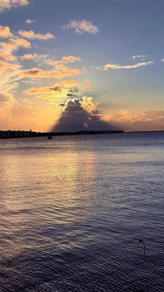 303 Morningside Drive Palm Harbor FL 34683