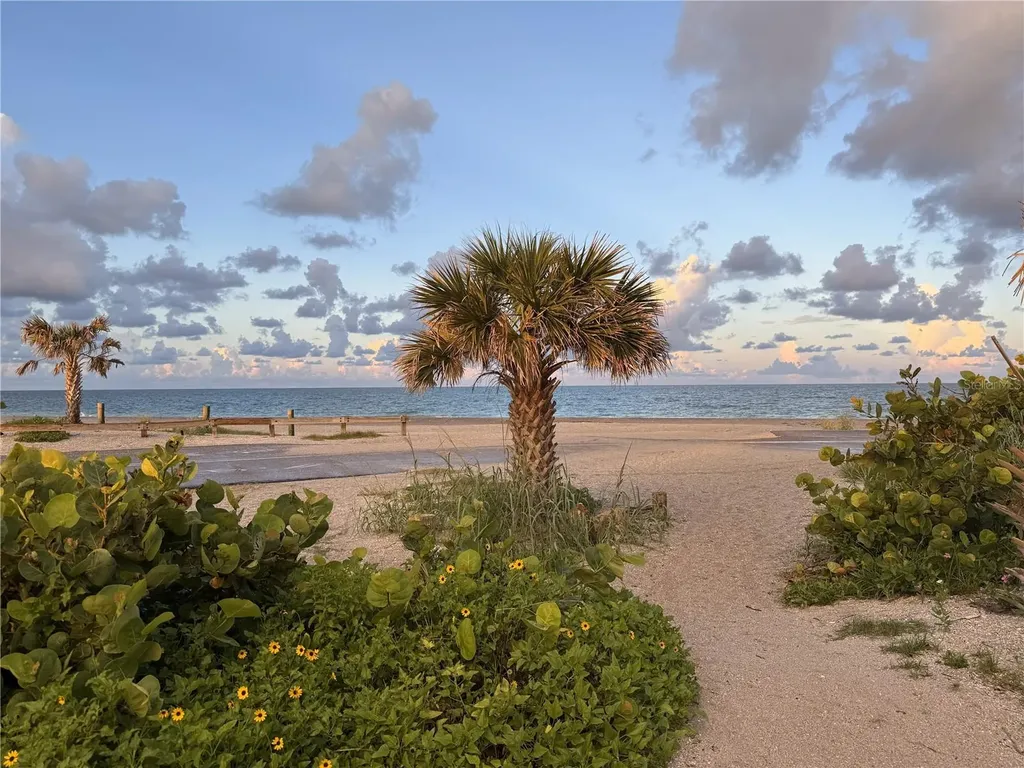303 Morningside Drive Palm Harbor FL 34683