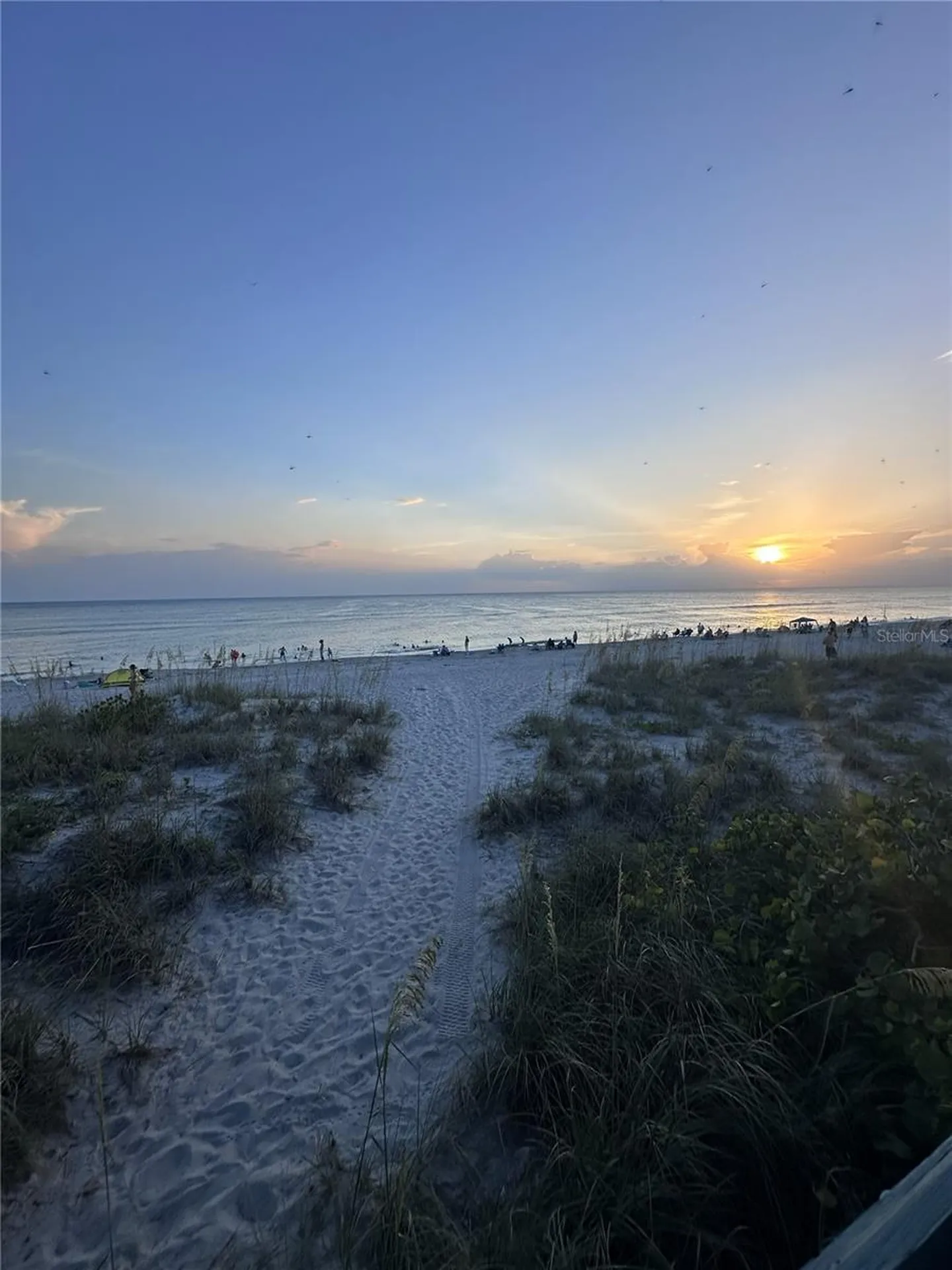 303 Morningside Drive Palm Harbor FL 34683