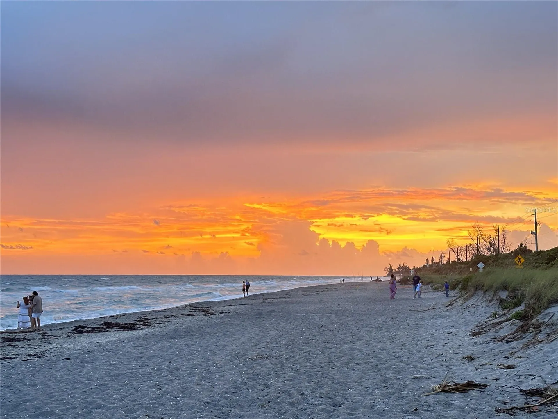 303 Morningside Drive Palm Harbor FL 34683