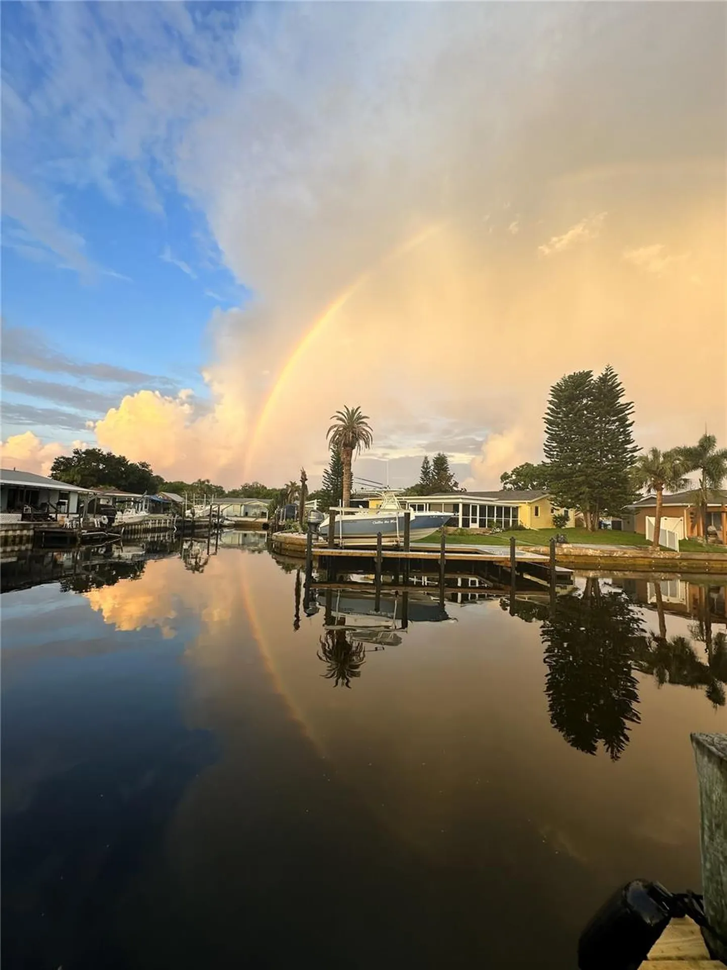 303 Morningside Drive Palm Harbor FL 34683