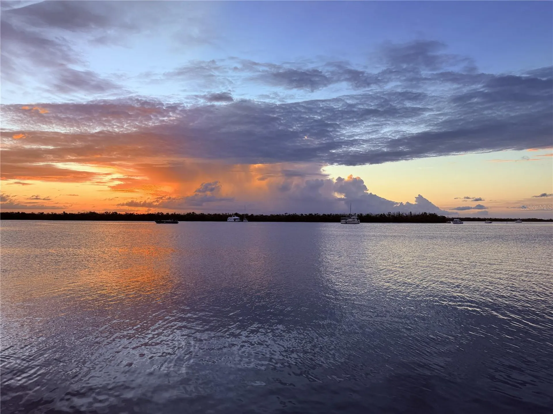 303 Morningside Drive Palm Harbor FL 34683