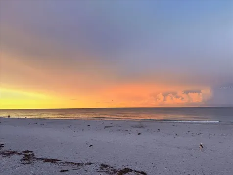 303 Morningside Drive Palm Harbor FL 34683