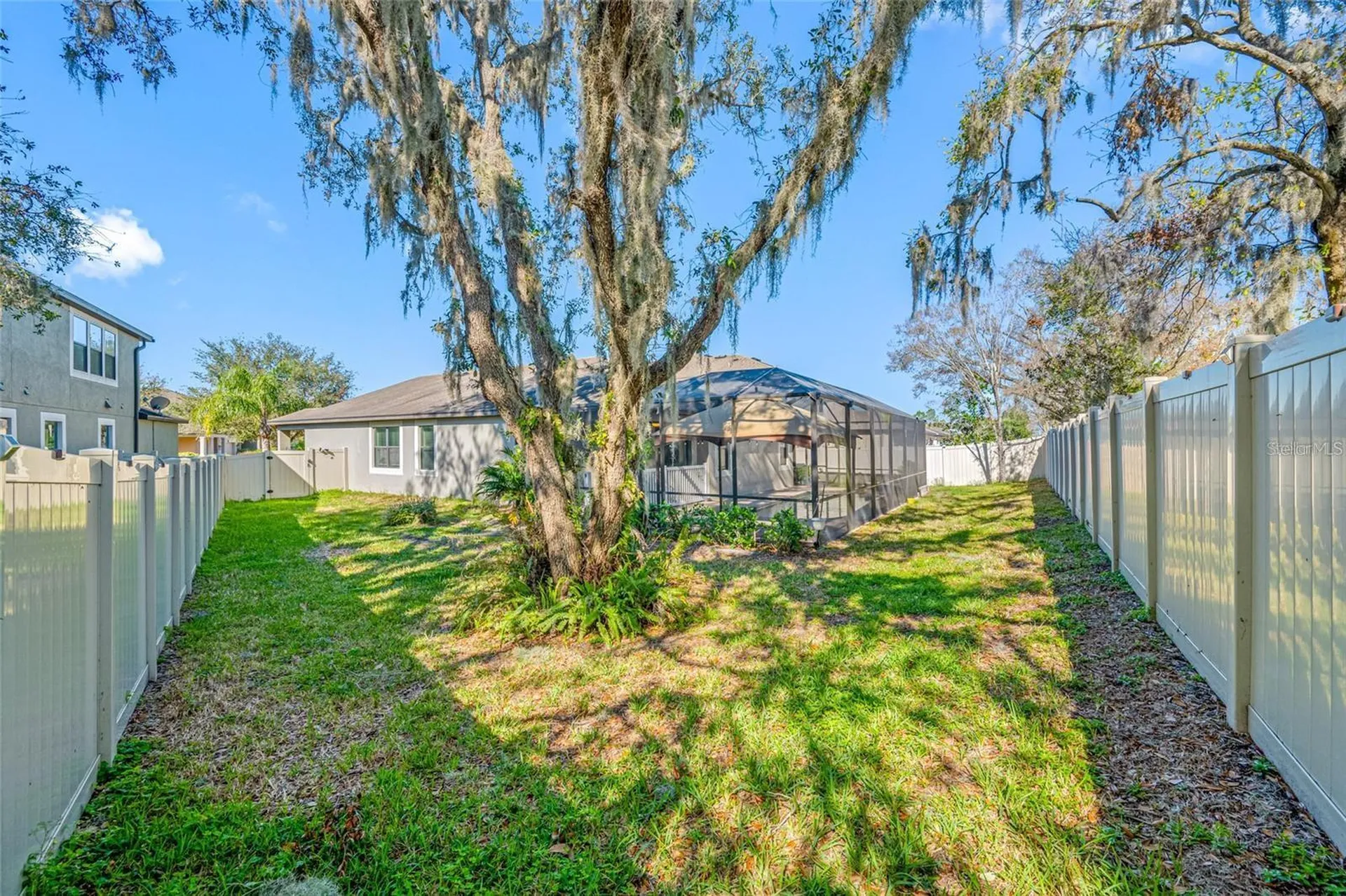 11652 Palmetto Pine Street Riverview FL 33569