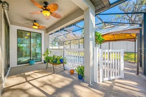 11652 Palmetto Pine Street Riverview FL 33569