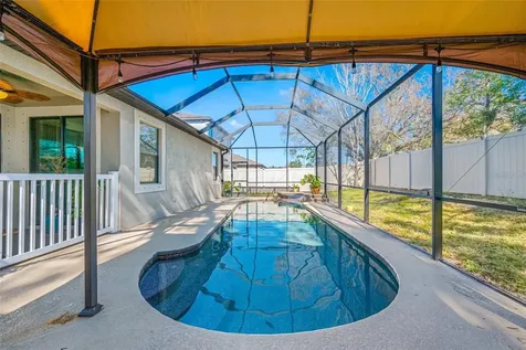 11652 Palmetto Pine Street Riverview FL 33569