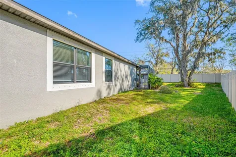 11652 Palmetto Pine Street Riverview FL 33569