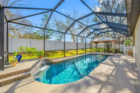 11652 Palmetto Pine Street Riverview FL 33569