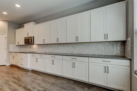 33423 Azalea Ridge Drive Wesley Chapel FL 33545