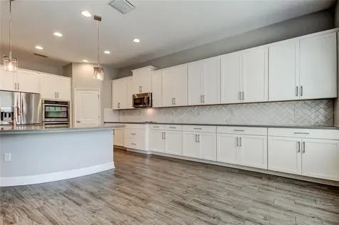 33423 Azalea Ridge Drive Wesley Chapel FL 33545
