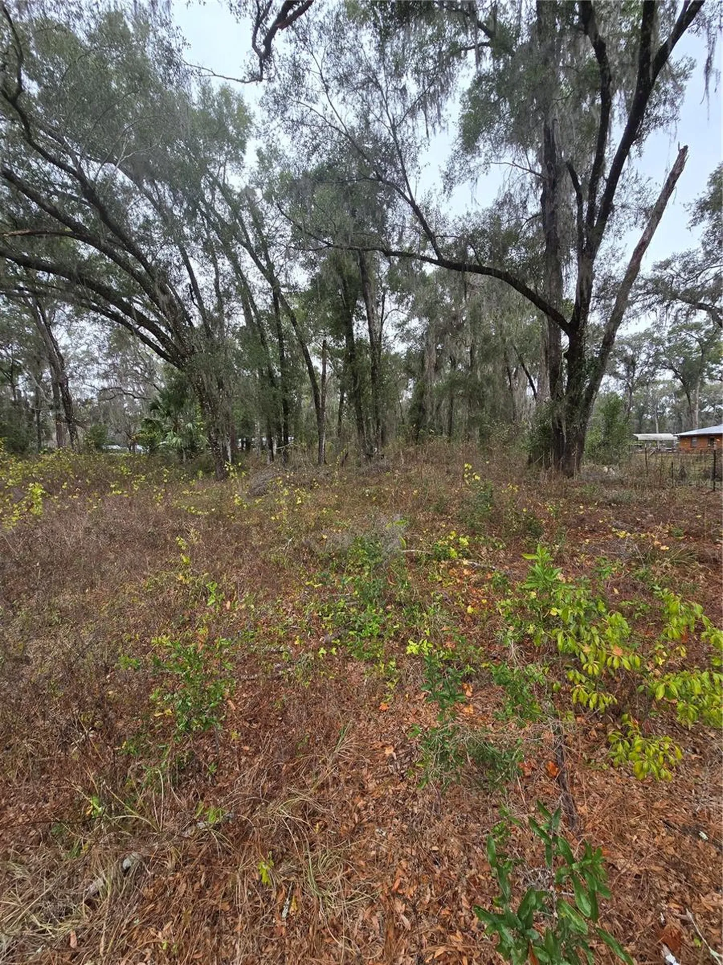 00 W C 476 Bushnell FL 33513