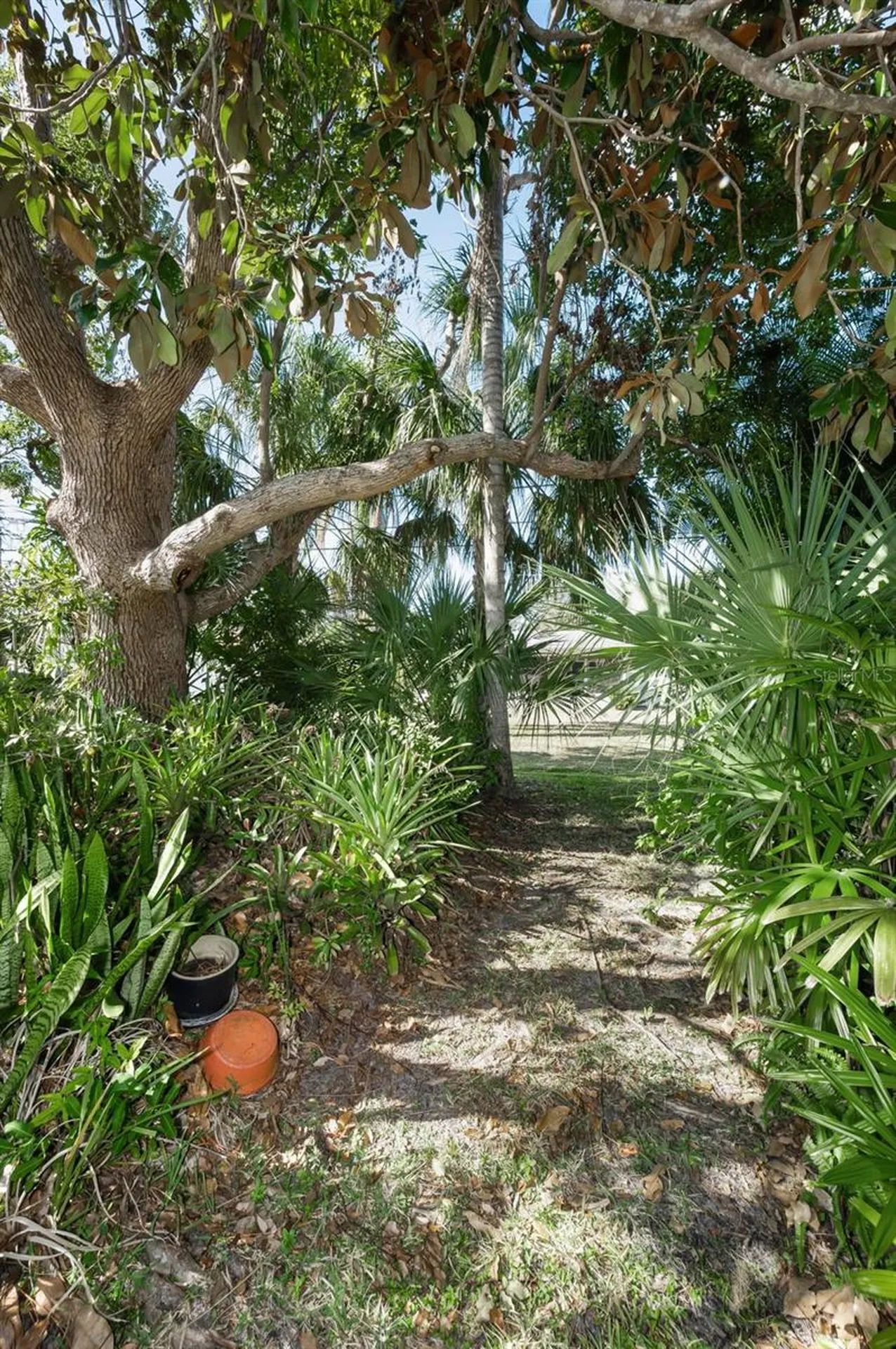 2310 Sarazen Drive Dunedin FL 34698