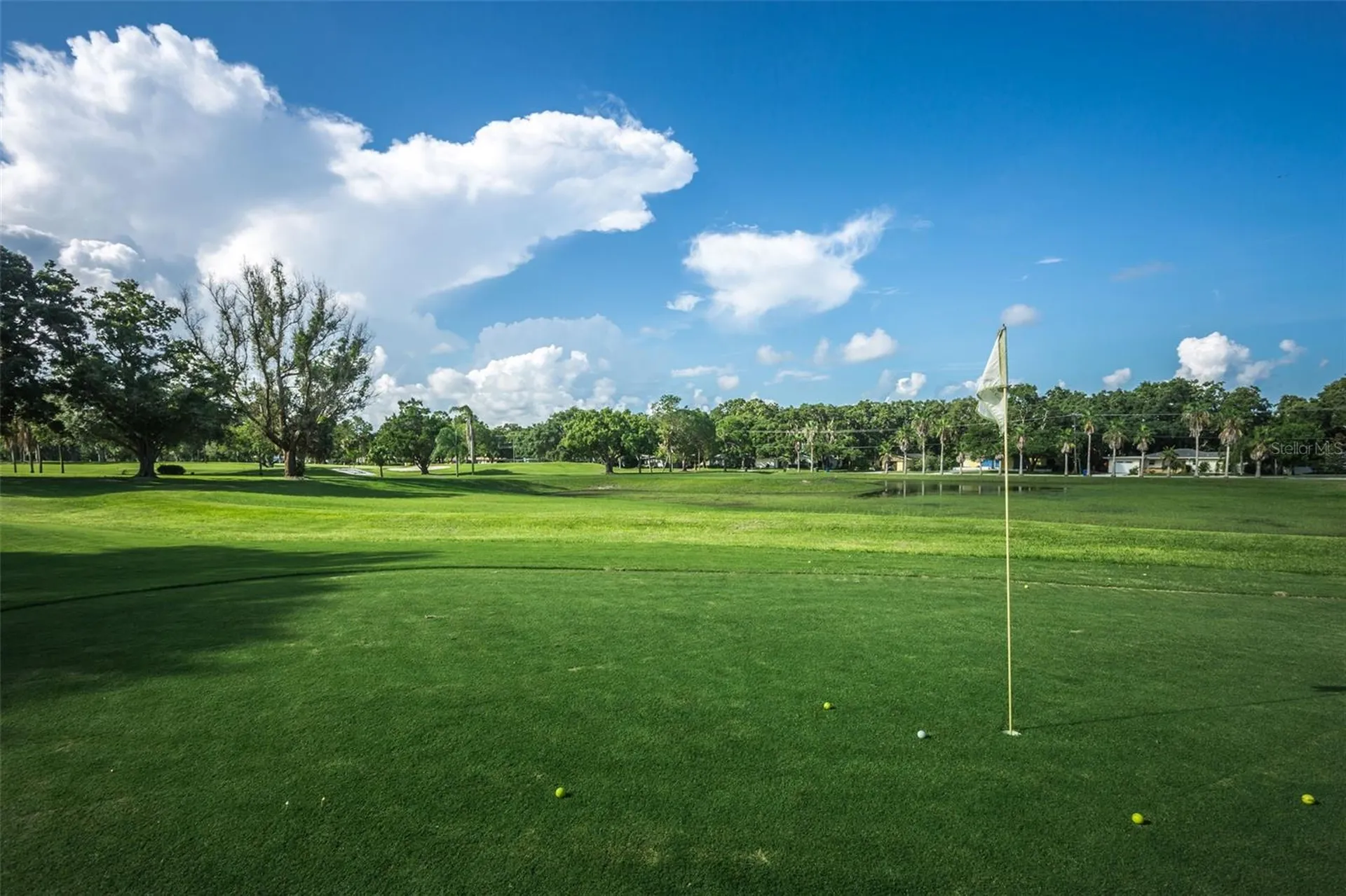 2310 Sarazen Drive Dunedin FL 34698