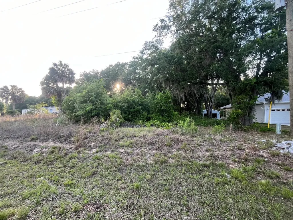 Lot 221 Ashley Street Hawthorne FL 32640