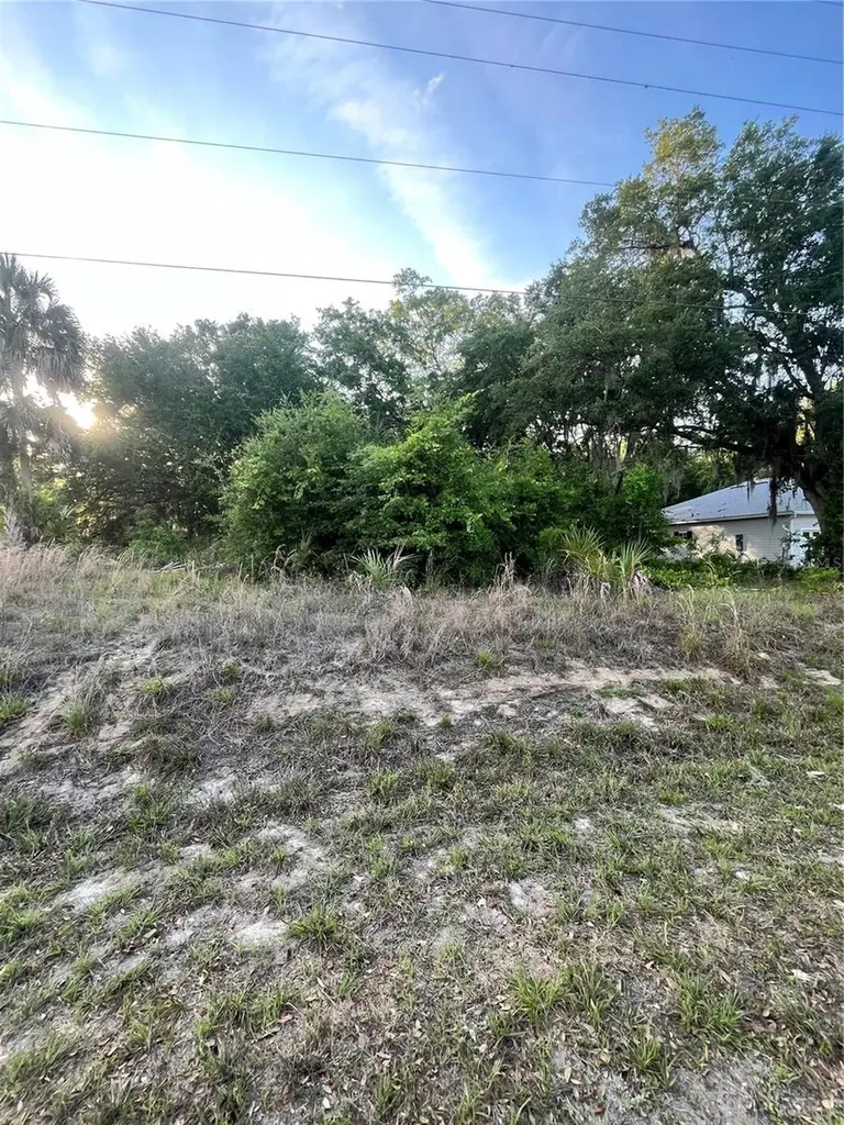Lot 221 Ashley Street Hawthorne FL 32640