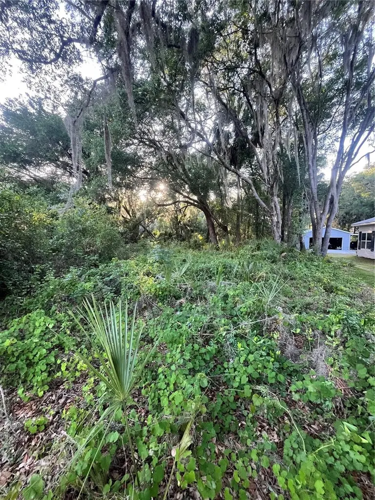 Lot 221 Ashley Street Hawthorne FL 32640