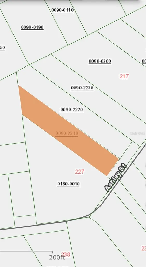 Lot 221 Ashley Street Hawthorne FL 32640