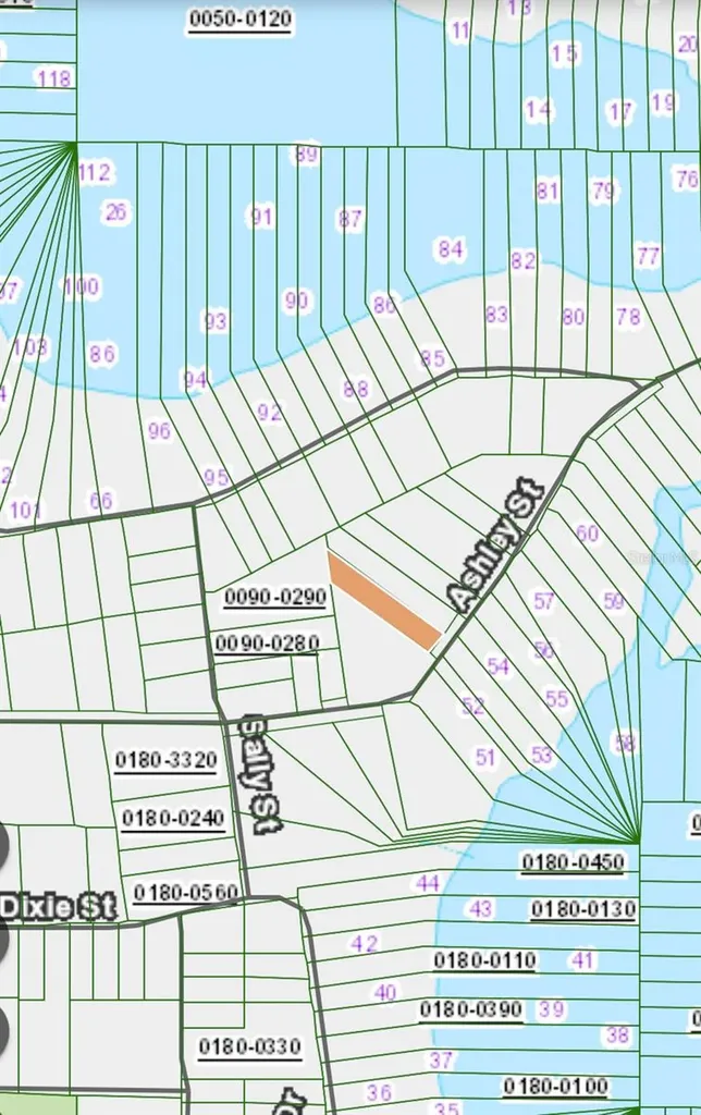 Lot 221 Ashley Street Hawthorne FL 32640