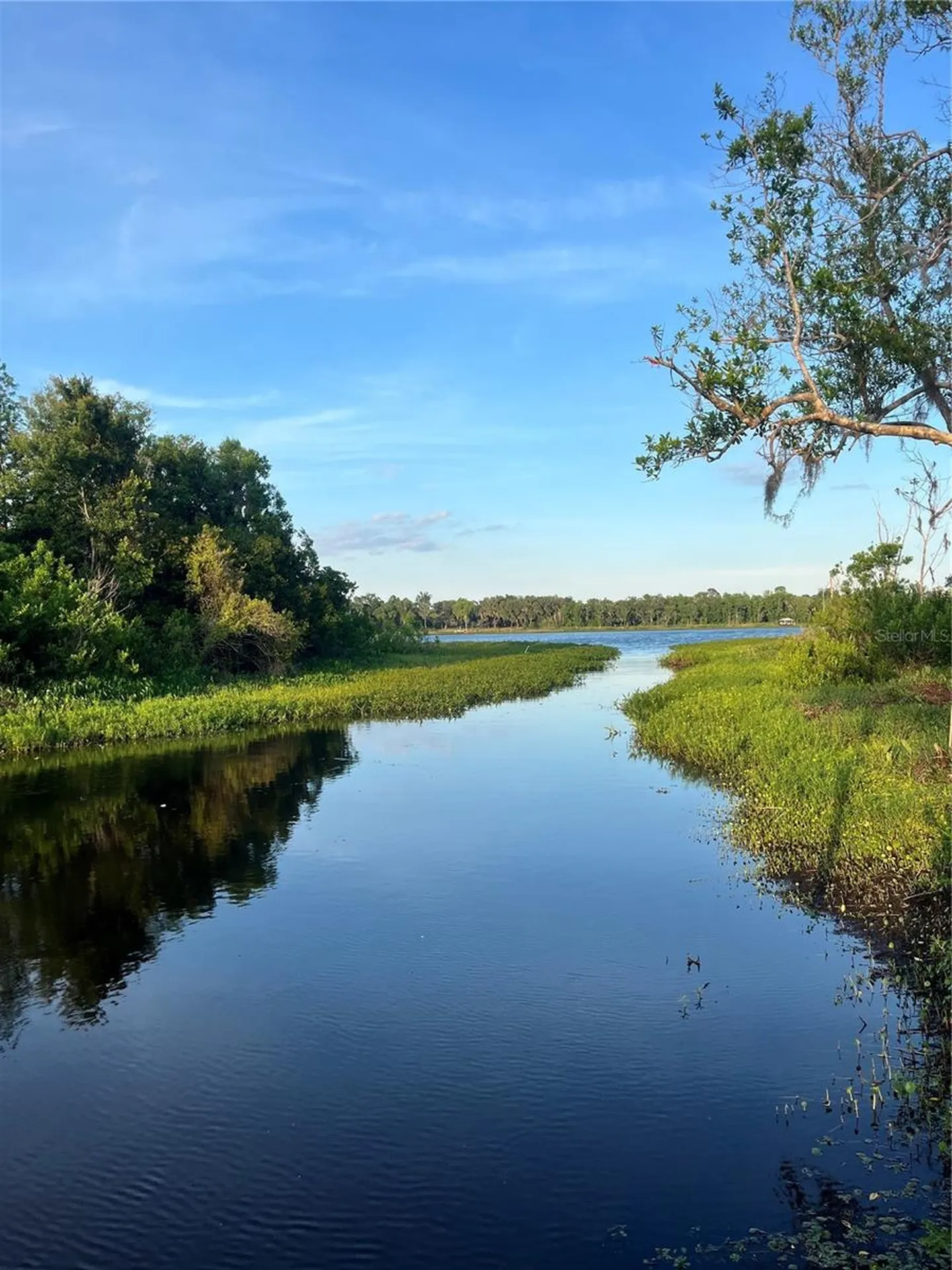 Lot 221 Ashley Street Hawthorne FL 32640