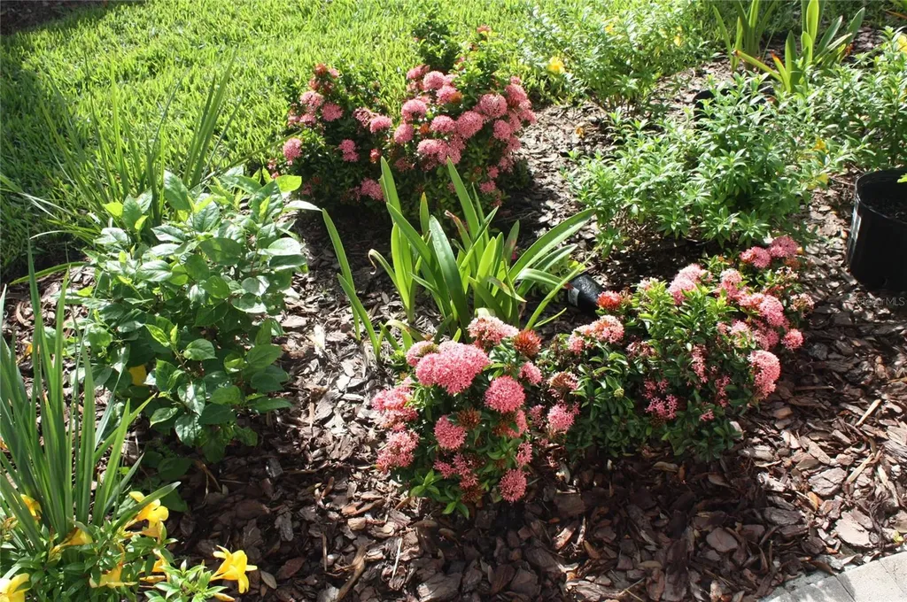 4482 Waterscape Lane Fort Myers FL 33966