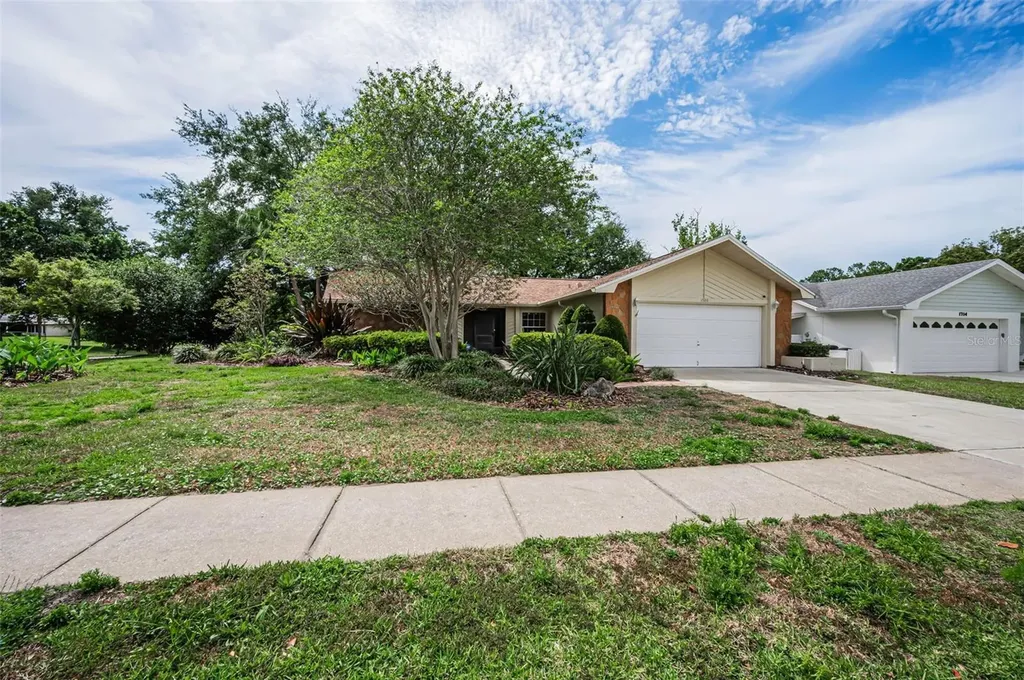 1700 Macdonnell Drive Palm Harbor FL 34684