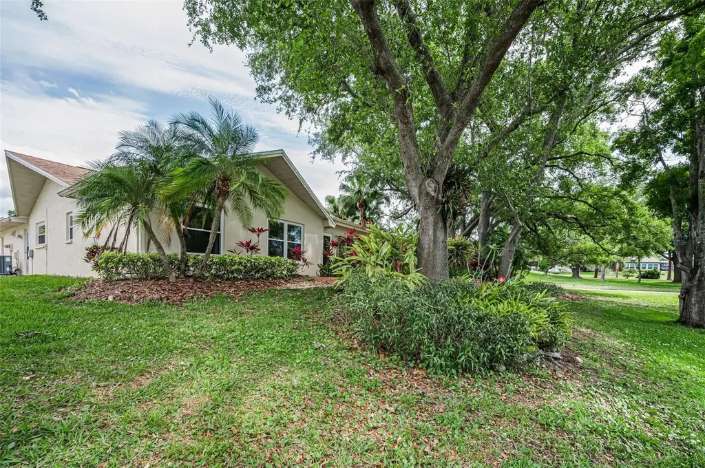 1700 Macdonnell Drive Palm Harbor FL 34684