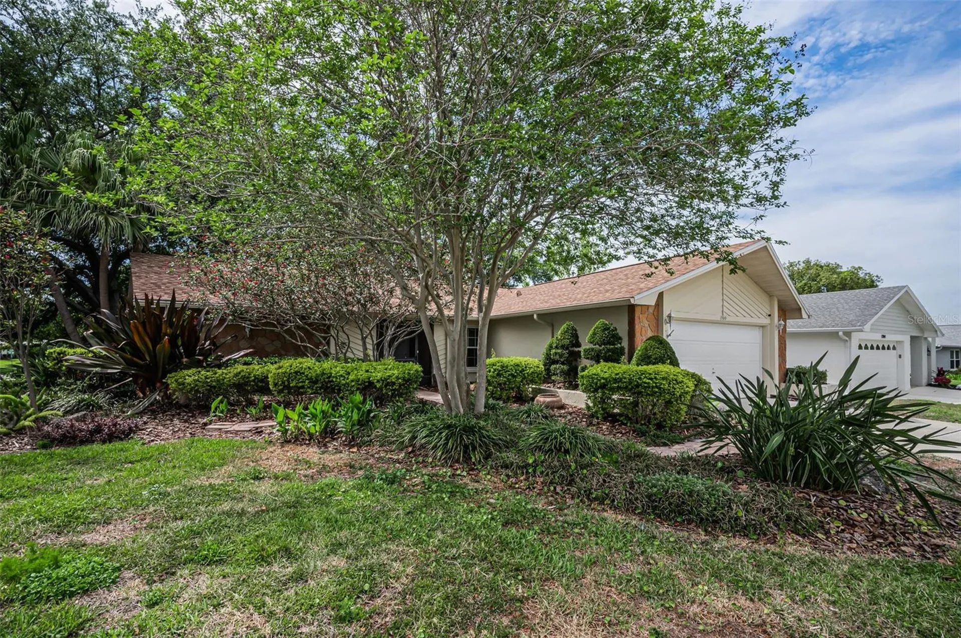 1700 Macdonnell Drive Palm Harbor FL 34684