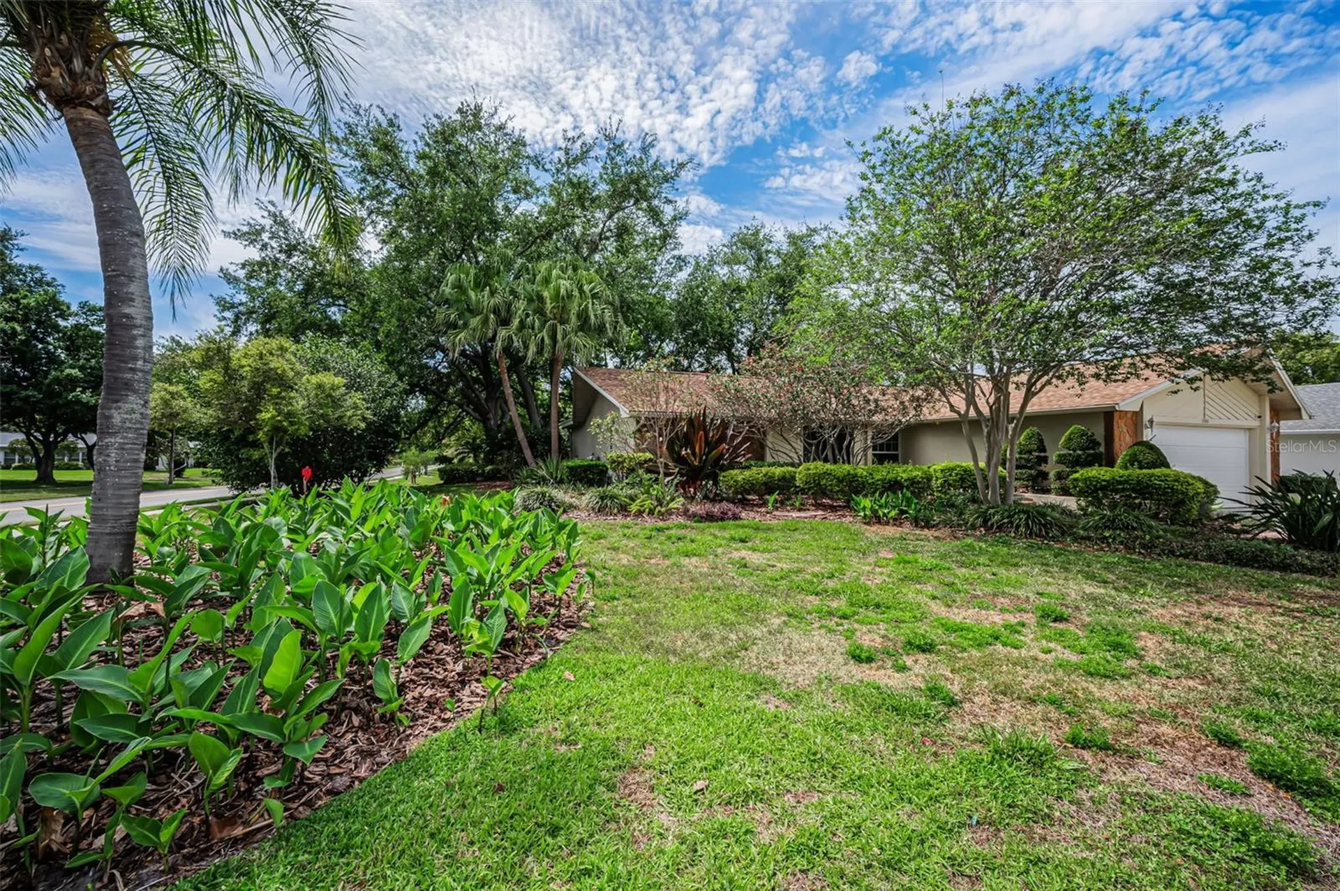 1700 Macdonnell Drive Palm Harbor FL 34684