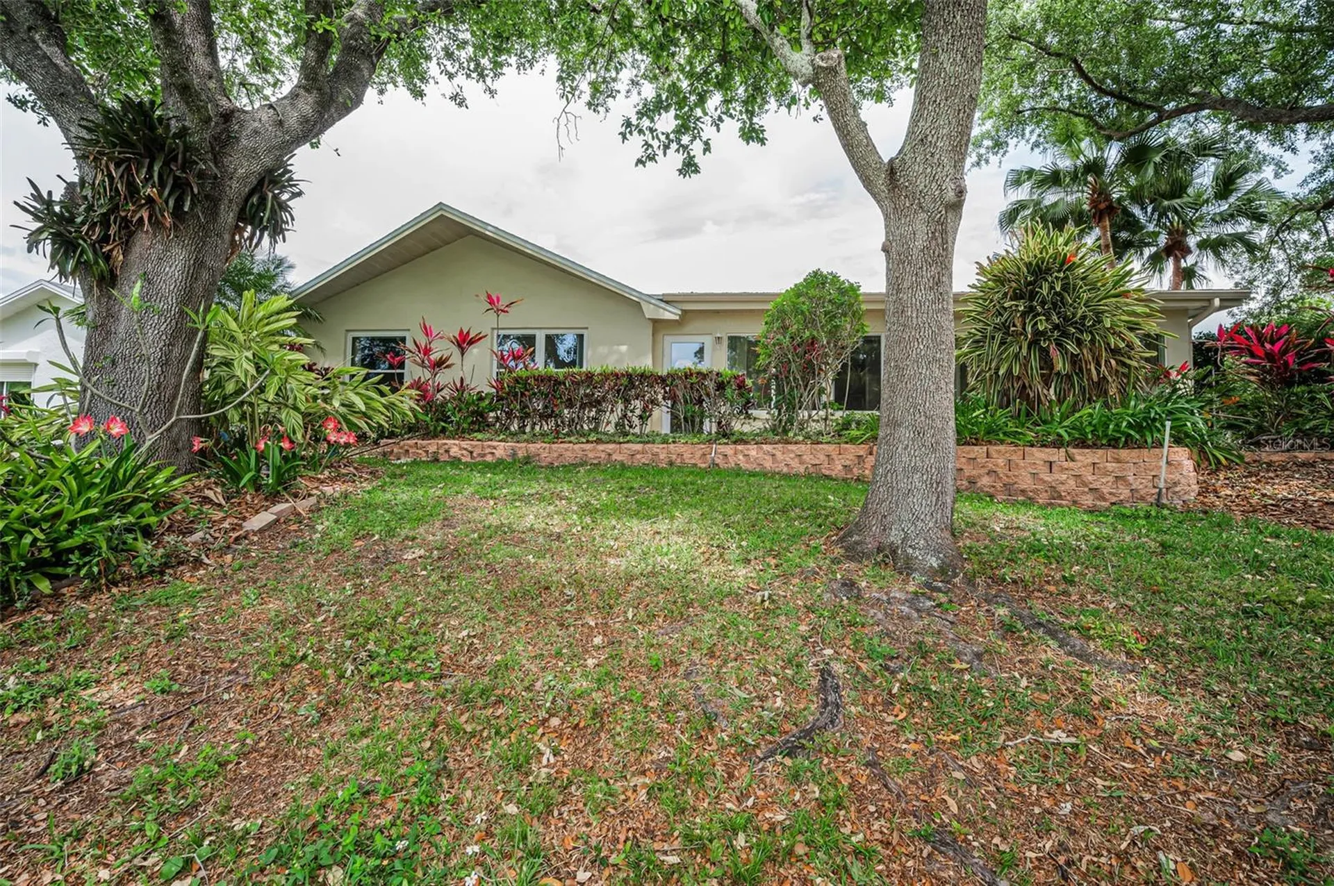 1700 Macdonnell Drive Palm Harbor FL 34684