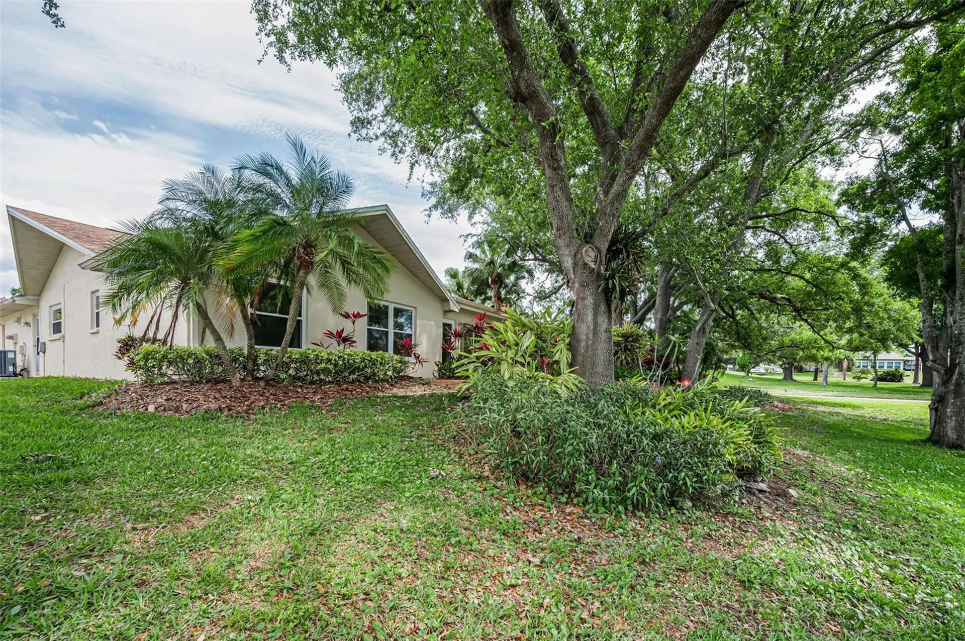 1700 Macdonnell Drive Palm Harbor FL 34684