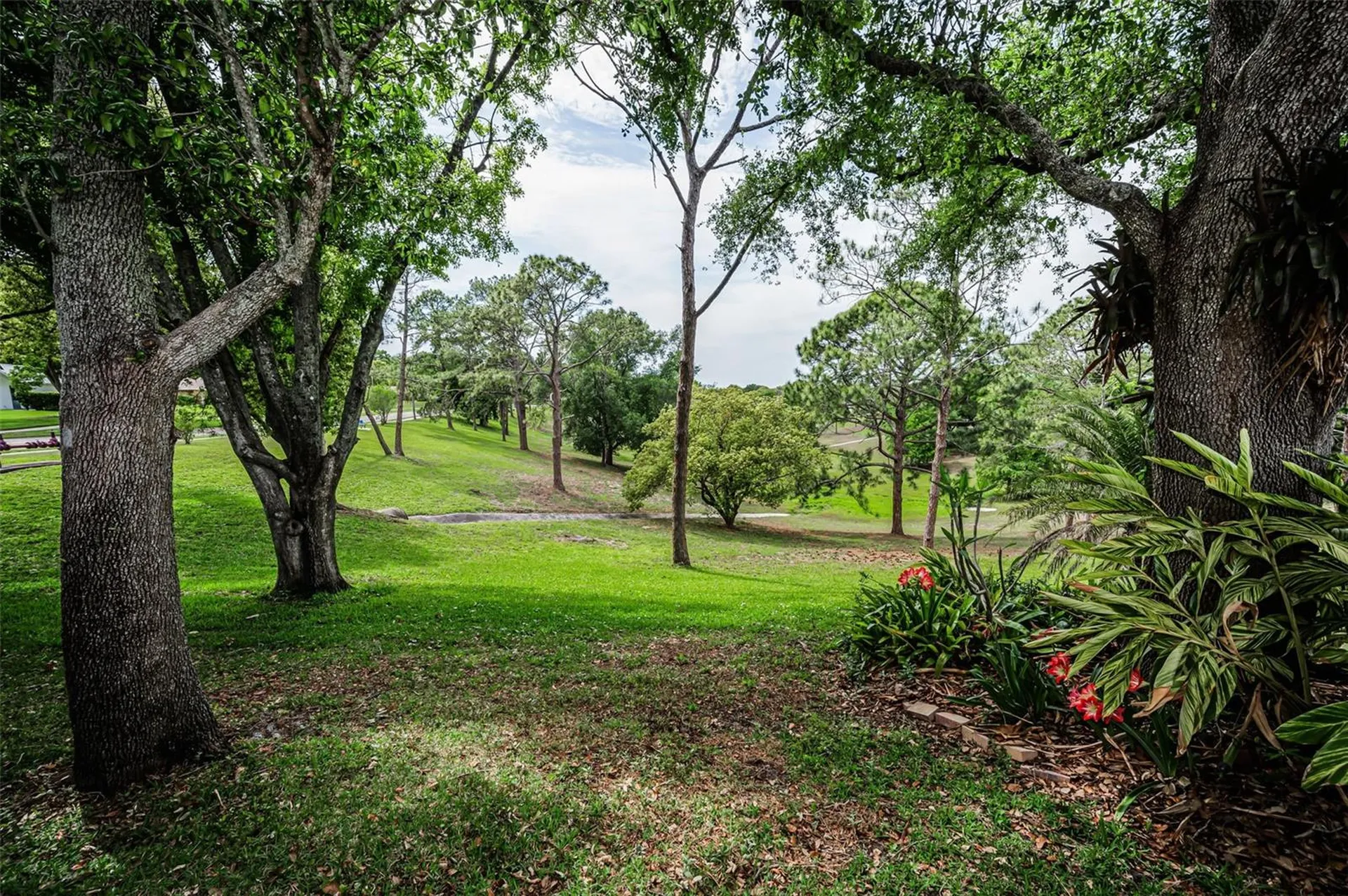 1700 Macdonnell Drive Palm Harbor FL 34684