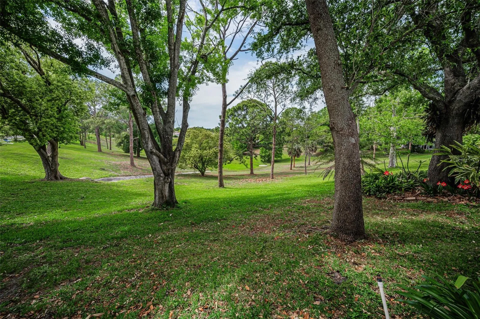 1700 Macdonnell Drive Palm Harbor FL 34684