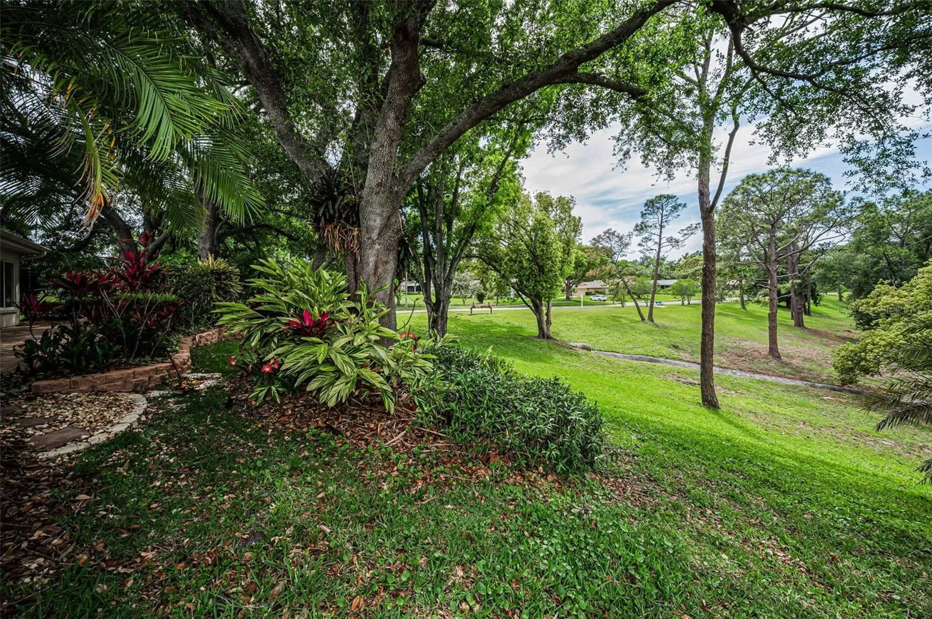 1700 Macdonnell Drive Palm Harbor FL 34684