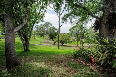 1700 Macdonnell Drive Palm Harbor FL 34684