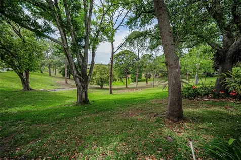 1700 Macdonnell Drive Palm Harbor FL 34684