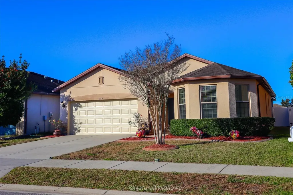 783 Petal Mist Lane Brooksville FL 34604