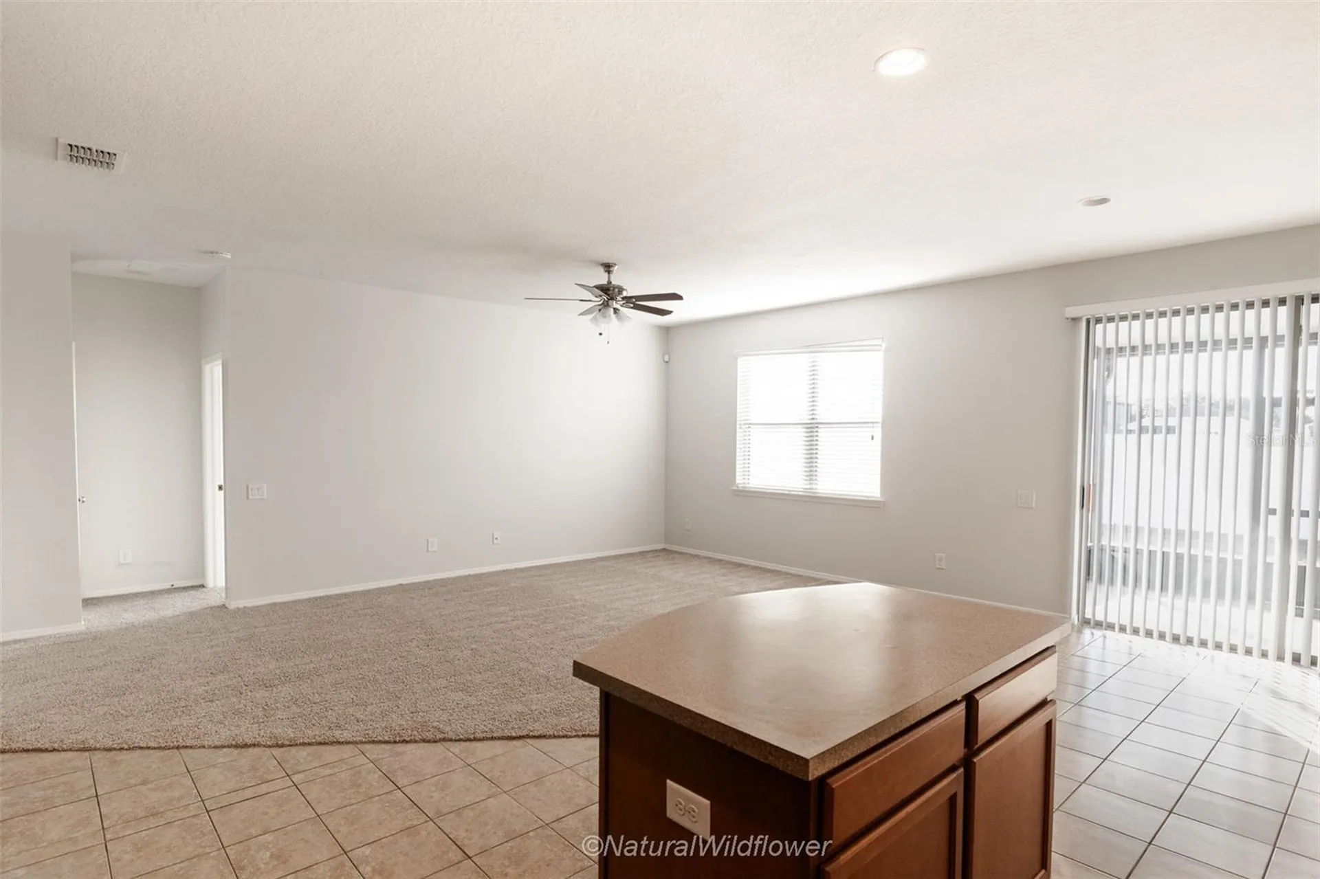 783 Petal Mist Lane Brooksville FL 34604
