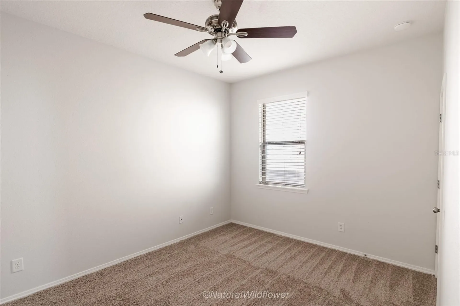 783 Petal Mist Lane Brooksville FL 34604