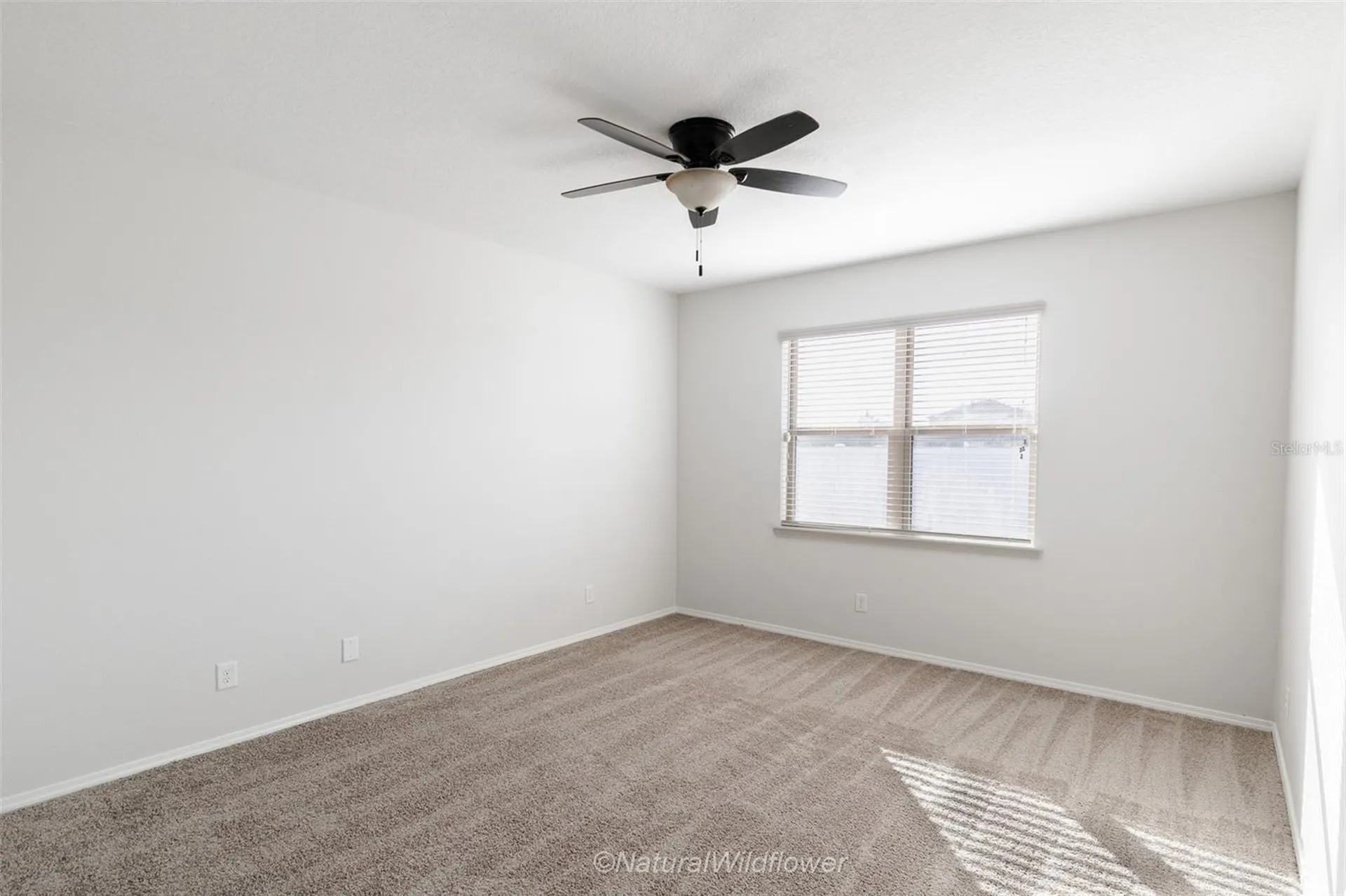 783 Petal Mist Lane Brooksville FL 34604