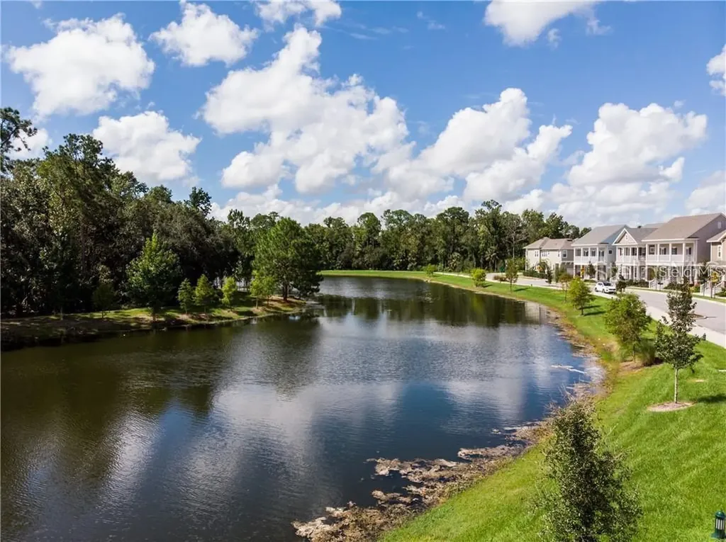 1565 Castile Street Celebration FL 34747