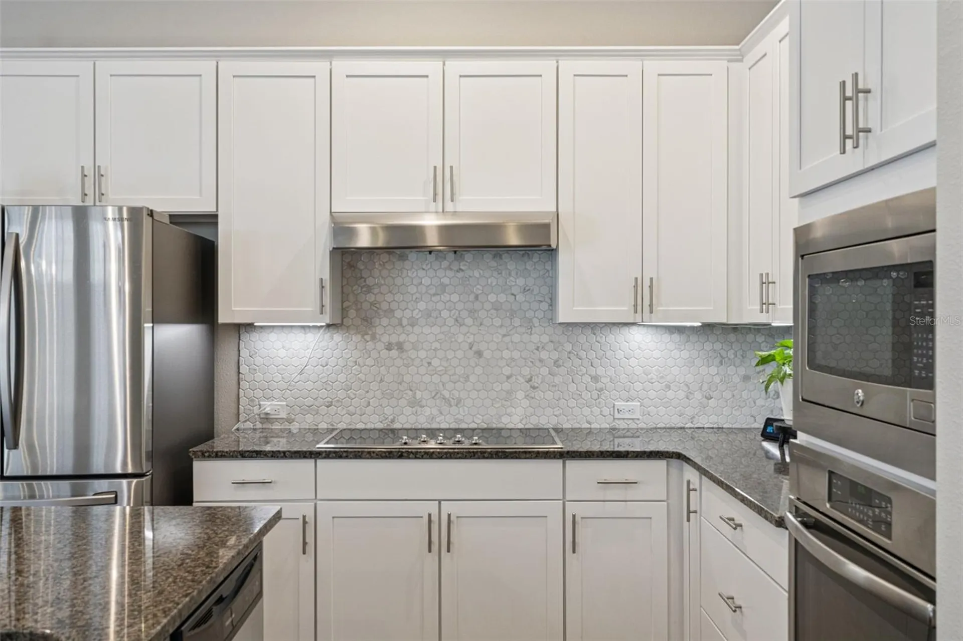 1565 Castile Street Celebration FL 34747