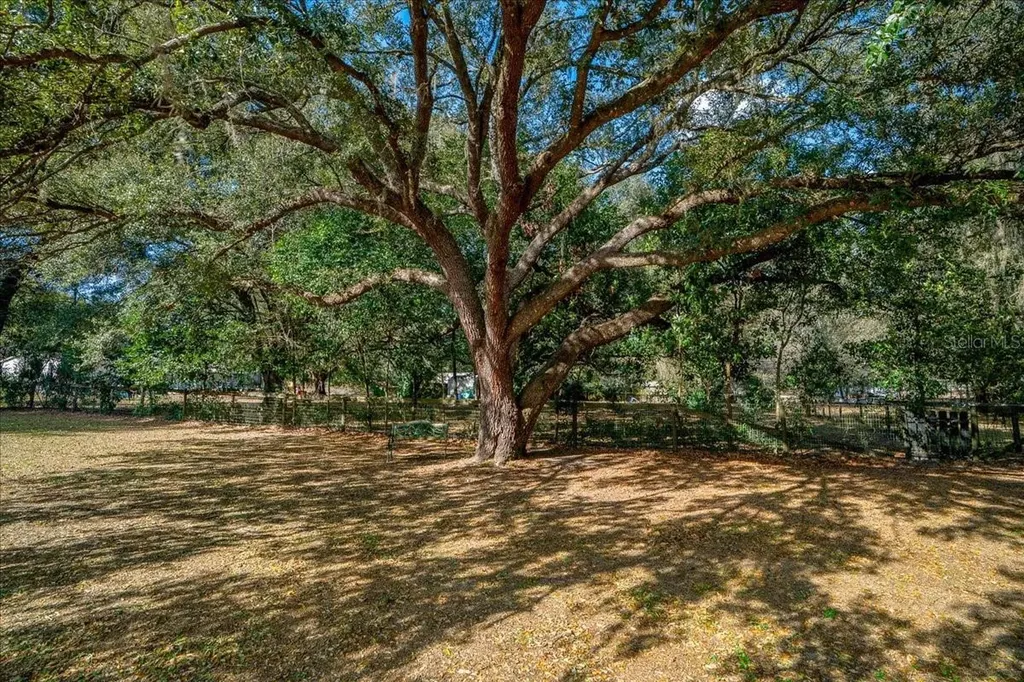 13181 NE 39th Terrace Anthony FL 32617