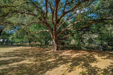 13181 NE 39th Terrace Anthony FL 32617
