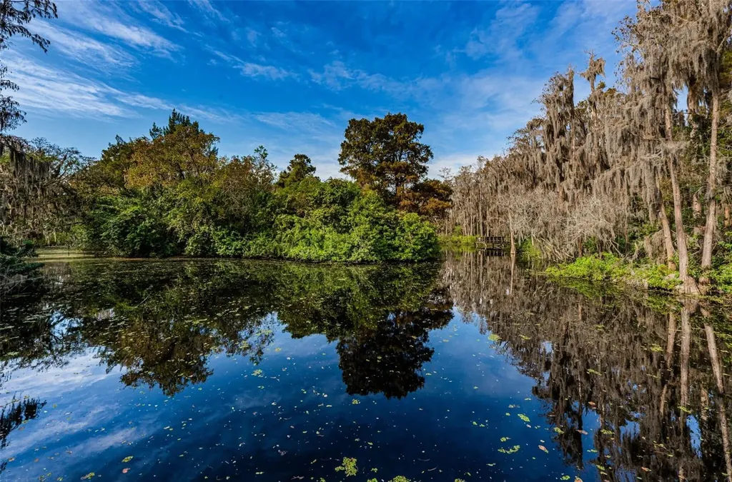 36750 Us Highway 19 N Palm Harbor FL 34683