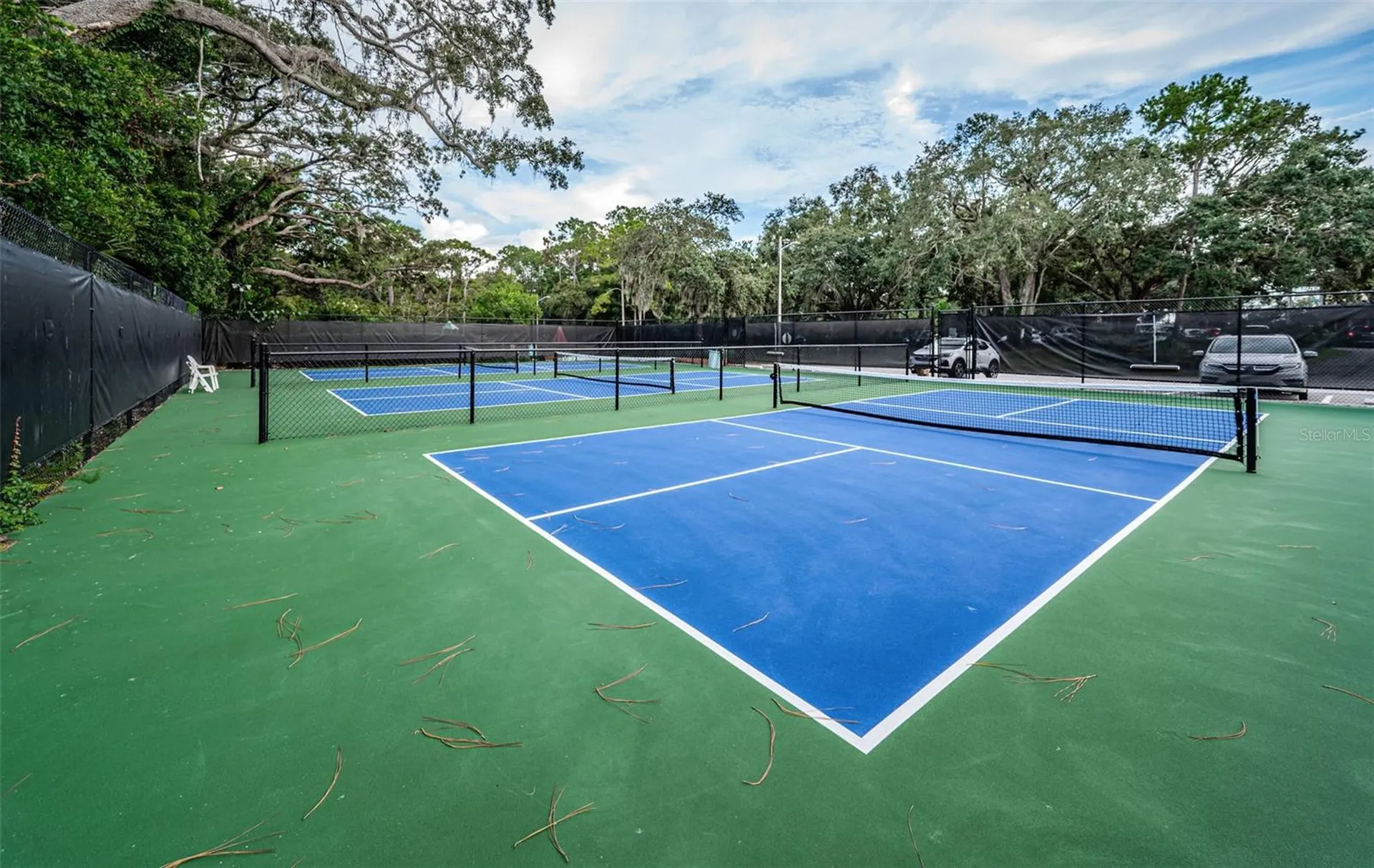 36750 Us Highway 19 N Palm Harbor FL 34683