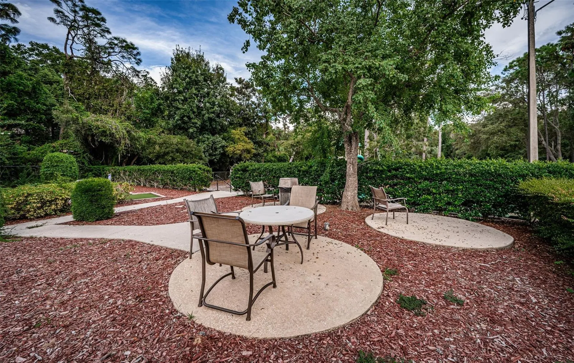 36750 Us Highway 19 N Palm Harbor FL 34683